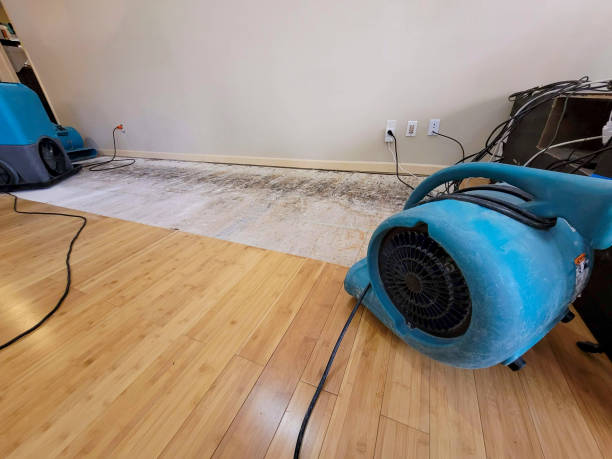 Professional Water Damage Repair technician working in Gold Bar, WA